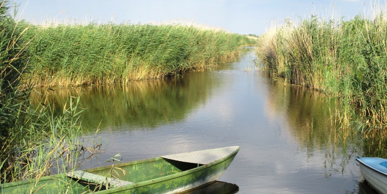 Ruhiger Ort mit Booten und Schilf am Neusiedlersee